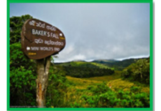 Horton plains